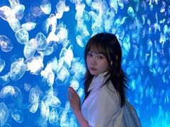 -多彩贵州城极地海洋世界
