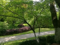 -浙江西子宾馆·瑶园咖啡厅