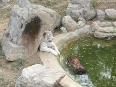 -石家庄市动物园