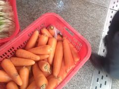 -湖锦酒楼·旗舰店(三阳总店)
