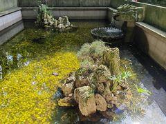 -宁波市保国寺古建筑博物馆