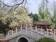-宣武艺园