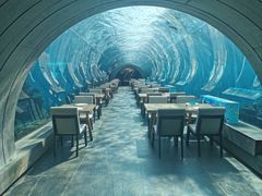 -海棠湾洲际-涛·海底餐厅·美人鱼·自助餐·海底隧道