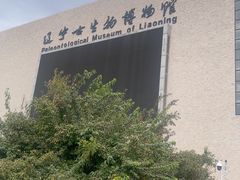 -辽宁古生物博物馆
