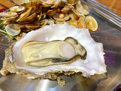 生蚝-蚝堡海鲜·威海菜·海肠捞饭·烧烤·亚洲吃蚝公司(幸福门店)