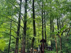 -桂林古东瀑布景区