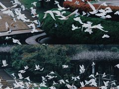 -音乐台