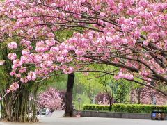 -贵阳市花溪国家城市湿地公园