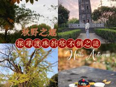 -上海佘山国家森林公园天马山园