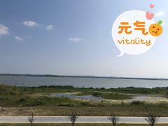 -七的湖·晚芳亭·阳澄湖农家菜·大闸蟹(莲花岛店)