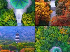 -灵谷景区
