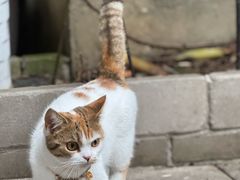 -谷咖啡·鲜花绿植花园餐厅