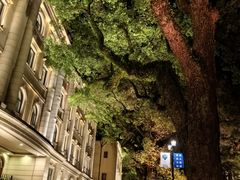 -广州白天鹅宾馆