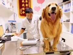 -特一安24小时宠物医院·骨科·中兽医