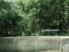 -西湖风景区-江洋畈生态公园