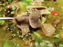 -鸽子侯·家宴·平价海鲜(市图书馆店)
