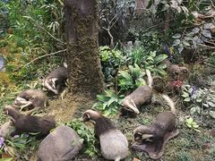 -陕西自然博物馆