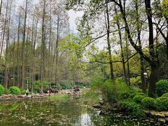 -人民公园-相亲角