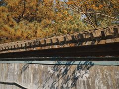 -白水寺森林公园