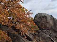 -吉林市朱雀山国家森林公园