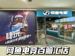 -网鱼电竞(广州百脑汇店)