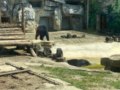 -黔灵山公园