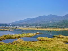 -腾冲北海湿地