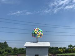 -紫颐香薰山谷景区