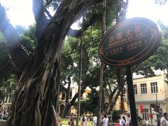 -仁信双皮奶(东川路店)
