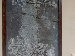 -安徽省地质博物馆