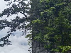 -恩施大峡谷
