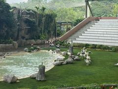 -新加坡飞禽公园