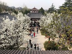 -华清宫景区