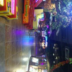 android_upload_pic-卡通尼·Safari非洲探索乐园·生日会(金桥国际商业广场店)