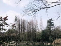 -保利石象湖景区