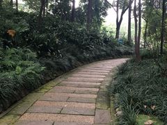 -成都市活水公园