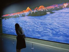 -罗红摄影艺术馆