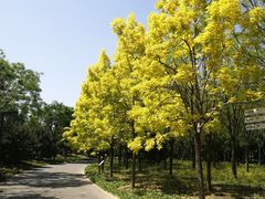 -东郊湿地公园