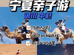 -国强手抓(西夏区店)