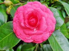 -龙井壹号·茶缘山景宴(龙井村店)
