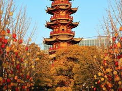 -龙华寺