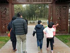 -艾溪湖湿地公园