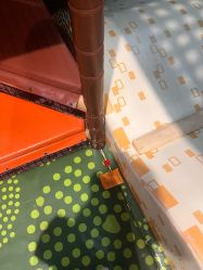 -卡通尼·Safari非洲探索乐园·生日会(金桥国际商业广场店)