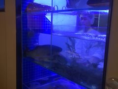 -海底捞火锅(CBD安泰广场店)