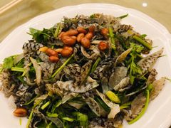 -张记旺角食街(动物园店)