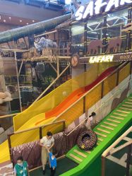 -卡通尼·Safari非洲探索乐园·生日会(金桥国际商业广场店)