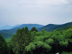 -阳台山自然风景区