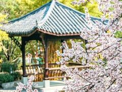 -武汉园博园(武汉自然博物馆)