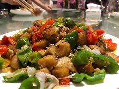 -煲来饱去冷水鱼