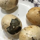 只要有勇气